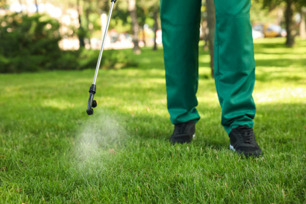 Best Local Pest Control Services  in Citrus Heights, CA