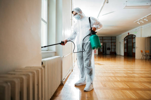 Best Termite Control Services  in Citrus Heights, CA