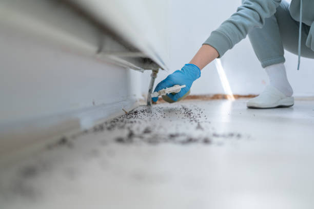 Best Mosquito Control Services  in Citrus Heights, CA